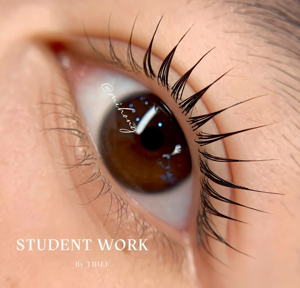 eyelash district1
